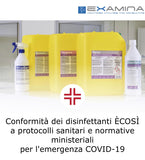 RIFRAXSAN ml.750 E'COSI' Disinfettante VIRUCIDA detergente pronto all’uso - presidio medico chirurgico (PMC)